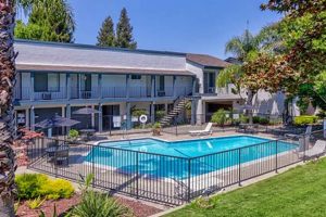 Discover Moorpark Garden Apartments: Serene Living Awaits | The Ultimate Gardening Guide: Grow a Thriving Garden Year-Round