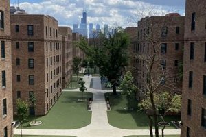 Discover: Marshall Field Garden Apartments History | The Ultimate Gardening Guide: Grow a Thriving Garden Year-Round