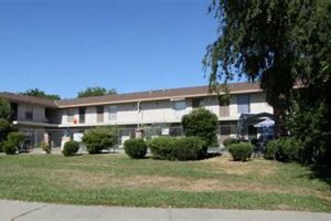 Discover Serene Foothill Garden Apartments Near You! | The Ultimate Gardening Guide: Grow a Thriving Garden Year-Round