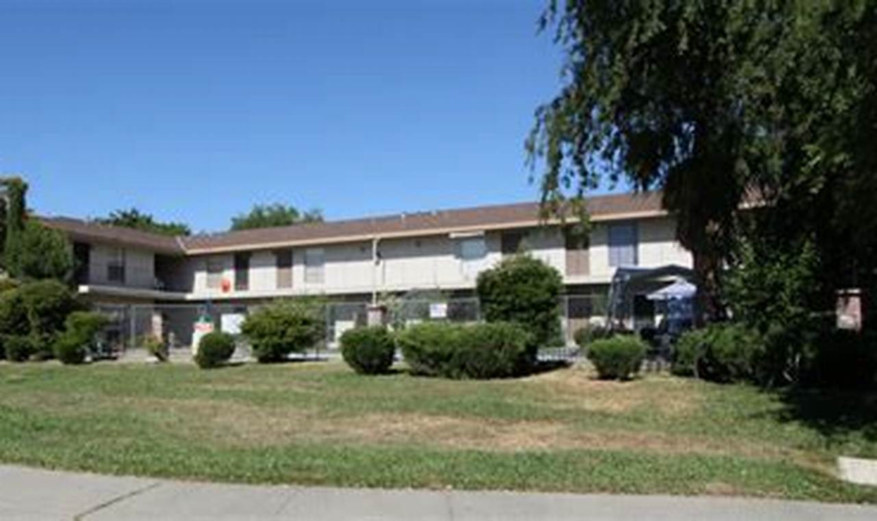 Discover Serene Foothill Garden Apartments Near You! | The Ultimate Gardening Guide: Grow a Thriving Garden Year-Round