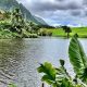 Planning Time: How Long at Hoomaluhia Botanical Garden? | The Ultimate Gardening Guide: Grow a Thriving Garden Year-Round