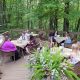 Visit Beech Creek Botanical Garden: A Natural Escape | The Ultimate Gardening Guide: Grow a Thriving Garden Year-Round