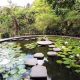 Explore Plan de la Laguna Botanical Garden: A Natural Haven | The Ultimate Gardening Guide: Grow a Thriving Garden Year-Round