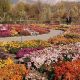 Explore Iran's Botanical Garden: A National Treasure | The Ultimate Gardening Guide: Grow a Thriving Garden Year-Round