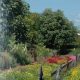 Visit Daniel Stowe Botanical Garden (Belmont, NC) Today! | The Ultimate Gardening Guide: Grow a Thriving Garden Year-Round