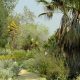 Explore Rancho Santa Ana Botanic Garden: A CA Native Gem | The Ultimate Gardening Guide: Grow a Thriving Garden Year-Round