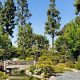 Visit Fresno Botanical Garden: A Floral Escape | The Ultimate Gardening Guide: Grow a Thriving Garden Year-Round