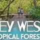 Explore Key West Tropical Forest &amp; Botanical Garden Oasis | The Ultimate Gardening Guide: Grow a Thriving Garden Year-Round