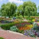 Guide to Chicago Botanical Garden Parking + Tips | The Ultimate Gardening Guide: Grow a Thriving Garden Year-Round