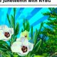 Get Your NY Botanical Garden Discount Code: [Year] Deals! | The Ultimate Gardening Guide: Grow a Thriving Garden Year-Round