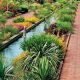 Get Daniel Stowe Botanical Garden Tickets: Deals & Info! | The Ultimate Gardening Guide: Grow a Thriving Garden Year-Round