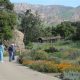 Visit Santa Ynez Botanical Garden: A Valley Gem! | The Ultimate Gardening Guide: Grow a Thriving Garden Year-Round