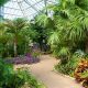 Explore Daniel Botanical Garden: A Green Escape | The Ultimate Gardening Guide: Grow a Thriving Garden Year-Round
