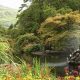 Visit Benmore Botanic Garden Dunoon: A Botanical Paradise | The Ultimate Gardening Guide: Grow a Thriving Garden Year-Round