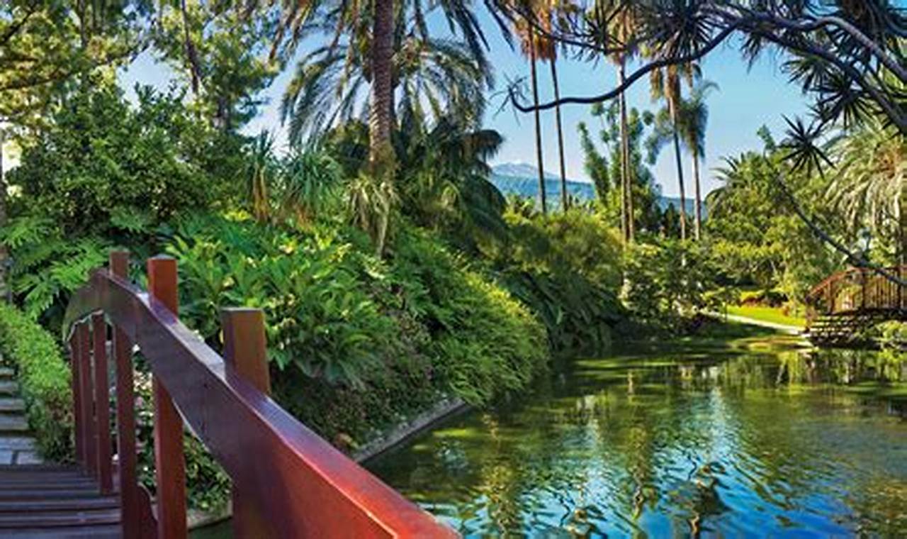 Botanical Bliss: Oriental Spa Garden, Tenerife Oasis The Ultimate Gardening Guide: Grow a Thriving Garden Year-Round Botanical Bliss: Oriental Spa Garden, Tenerife Oasis | The Ultimate Gardening Guide: Grow a Thriving Garden Year-Round