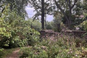 Visit Knoxville Botanical Garden: Wimpole Avenue's Oasis | The Ultimate Gardening Guide: Grow a Thriving Garden Year-Round