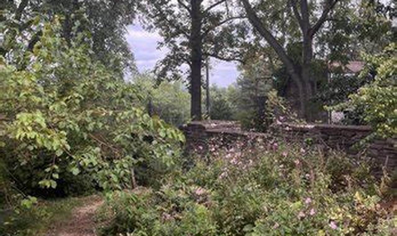 Visit Knoxville Botanical Garden: Wimpole Avenue's Oasis The Ultimate Gardening Guide: Grow a Thriving Garden Year-Round Visit Knoxville Botanical Garden: Wimpole Avenue's Oasis | The Ultimate Gardening Guide: Grow a Thriving Garden Year-Round