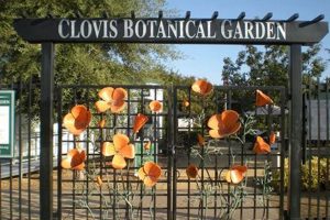 Explore Clovis Botanical Garden: A Floral Paradise! The Ultimate Gardening Guide: Grow a Thriving Garden Year-Round Explore Clovis Botanical Garden: A Floral Paradise! | The Ultimate Gardening Guide: Grow a Thriving Garden Year-Round