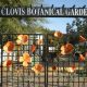 Explore Clovis Botanical Garden: A Floral Paradise! | The Ultimate Gardening Guide: Grow a Thriving Garden Year-Round