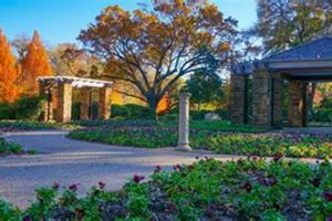 Discover Fort Worth Botanic Garden Events: Calendar & More | The Ultimate Gardening Guide: Grow a Thriving Garden Year-Round