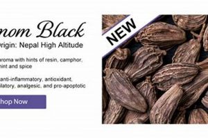 Discover Lotus Garden Botanicals: Nature's Beauty The Ultimate Gardening Guide: Grow a Thriving Garden Year-Round Discover Lotus Garden Botanicals: Nature's Beauty | The Ultimate Gardening Guide: Grow a Thriving Garden Year-Round