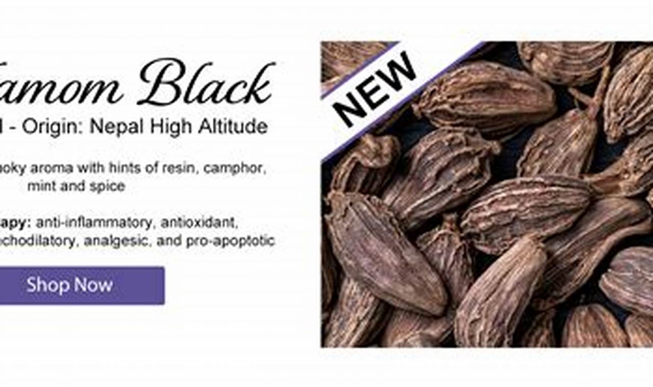 Discover Lotus Garden Botanicals: Nature's Beauty The Ultimate Gardening Guide: Grow a Thriving Garden Year-Round Discover Lotus Garden Botanicals: Nature's Beauty | The Ultimate Gardening Guide: Grow a Thriving Garden Year-Round