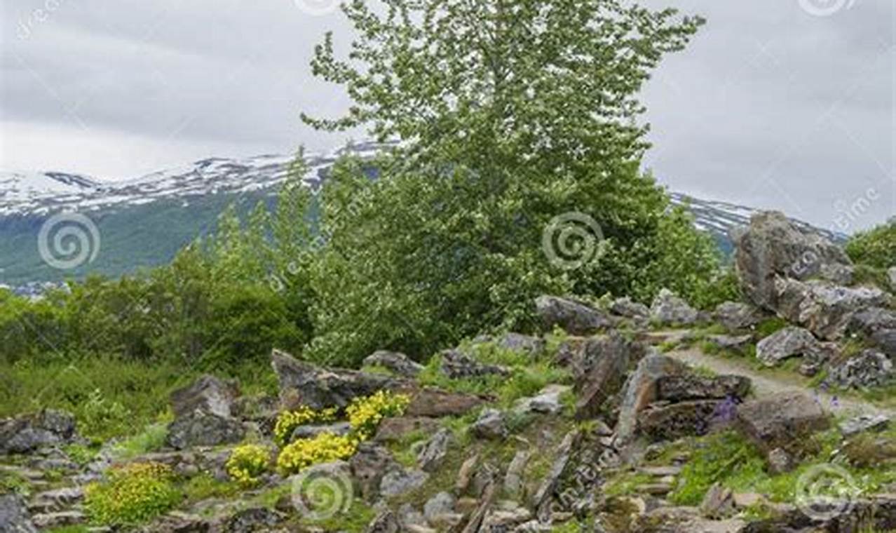 Explore the Arctic Alpine Botanic Garden: A Botanical Haven | The Ultimate Gardening Guide: Grow a Thriving Garden Year-Round