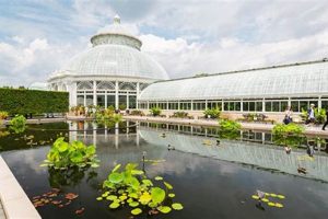 Find: Hotels Near New York Botanical Garden - Deals! The Ultimate Gardening Guide: Grow a Thriving Garden Year-Round Find: Hotels Near New York Botanical Garden - Deals! | The Ultimate Gardening Guide: Grow a Thriving Garden Year-Round