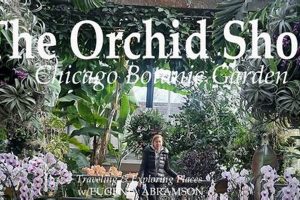 Chicago Botanic Garden Orchid Show 2025: A Botanical Paradise The Ultimate Gardening Guide: Grow a Thriving Garden Year-Round Chicago Botanic Garden Orchid Show 2025: A Botanical Paradise | The Ultimate Gardening Guide: Grow a Thriving Garden Year-Round