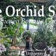 Chicago Botanic Garden Orchid Show 2025: A Botanical Paradise | The Ultimate Gardening Guide: Grow a Thriving Garden Year-Round