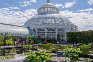 Explore: New York Botanical Garden Careers Your Green Future! The Ultimate Gardening Guide: Grow a Thriving Garden Year-Round Explore: New York Botanical Garden Careers Your Green Future! | The Ultimate Gardening Guide: Grow a Thriving Garden Year-Round
