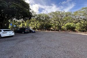 Plan Your Visit: Koko Crater Botanical Garden Parking Info | The Ultimate Gardening Guide: Grow a Thriving Garden Year-Round