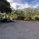 Plan Your Visit: Koko Crater Botanical Garden Parking Info | The Ultimate Gardening Guide: Grow a Thriving Garden Year-Round