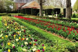 Visit Williamsburg Botanical Garden VA: A Botanical Oasis! The Ultimate Gardening Guide: Grow a Thriving Garden Year-Round Visit Williamsburg Botanical Garden VA: A Botanical Oasis! | The Ultimate Gardening Guide: Grow a Thriving Garden Year-Round