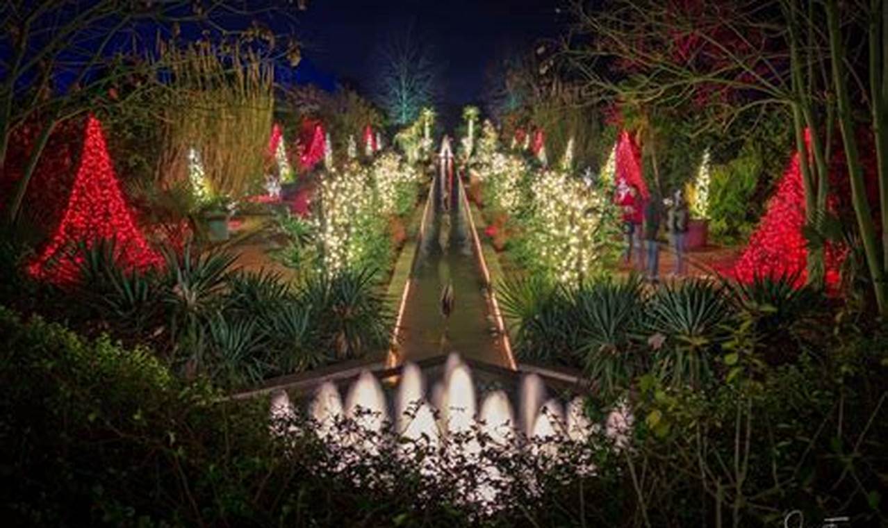 A Botanical Christmas: Daniel Stowe Lights Show Magic The Ultimate Gardening Guide: Grow a Thriving Garden Year-Round A Botanical Christmas: Daniel Stowe Lights Show Magic | The Ultimate Gardening Guide: Grow a Thriving Garden Year-Round