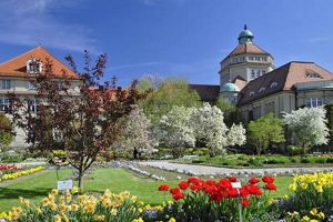 Explore Munich's Botanical Garden Nymphenburg & More! | The Ultimate Gardening Guide: Grow a Thriving Garden Year-Round