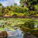Get Waimea Botanical Garden Tickets - Explore & Enjoy! | The Ultimate Gardening Guide: Grow a Thriving Garden Year-Round