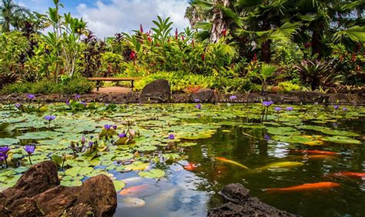 Get Waimea Botanical Garden Tickets - Explore & Enjoy! | The Ultimate Gardening Guide: Grow a Thriving Garden Year-Round