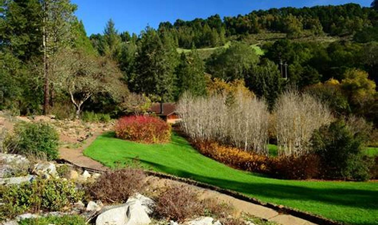 Discover Botanical Garden Tilden: A California Gem The Ultimate Gardening Guide: Grow a Thriving Garden Year-Round Discover Botanical Garden Tilden: A California Gem | The Ultimate Gardening Guide: Grow a Thriving Garden Year-Round