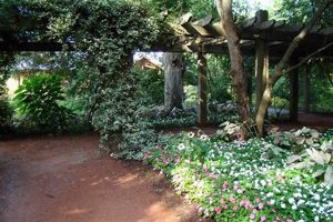 Explore Georgia Southern Botanical Garden: A Natural Haven The Ultimate Gardening Guide: Grow a Thriving Garden Year-Round Explore Georgia Southern Botanical Garden: A Natural Haven | The Ultimate Gardening Guide: Grow a Thriving Garden Year-Round
