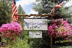 Discover Tizer Botanic Garden & Arboretum: A Botanical Oasis | The Ultimate Gardening Guide: Grow a Thriving Garden Year-Round