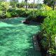 Explore Kauai Miniature Golf & Botanical Garden Paradise | The Ultimate Gardening Guide: Grow a Thriving Garden Year-Round