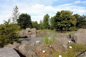 Visit Grasagarur Botanical Garden: A Green Oasis | The Ultimate Gardening Guide: Grow a Thriving Garden Year-Round