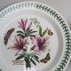 Buy Portmeirion Botanic Garden Dinner Plates: Vintage & More! | The Ultimate Gardening Guide: Grow a Thriving Garden Year-Round