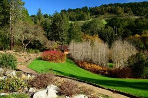 Explore Tilden Park Botanical Garden: A Native Plant Haven | The Ultimate Gardening Guide: Grow a Thriving Garden Year-Round