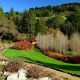 Explore Tilden Park Botanical Garden: A Native Plant Haven | The Ultimate Gardening Guide: Grow a Thriving Garden Year-Round