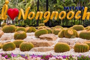 Explore Nong Nooch Botanical Garden: A Thai Paradise The Ultimate Gardening Guide: Grow a Thriving Garden Year-Round Explore Nong Nooch Botanical Garden: A Thai Paradise | The Ultimate Gardening Guide: Grow a Thriving Garden Year-Round