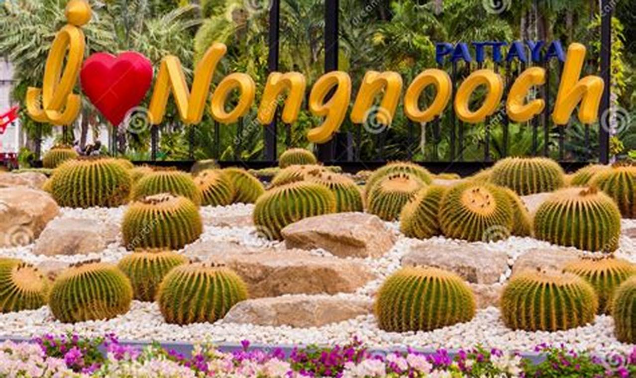 Explore Nong Nooch Botanical Garden: A Thai Paradise The Ultimate Gardening Guide: Grow a Thriving Garden Year-Round Explore Nong Nooch Botanical Garden: A Thai Paradise | The Ultimate Gardening Guide: Grow a Thriving Garden Year-Round