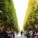 Chicago Botanic Garden Wedding Cost: Your Botanical Dream | The Ultimate Gardening Guide: Grow a Thriving Garden Year-Round