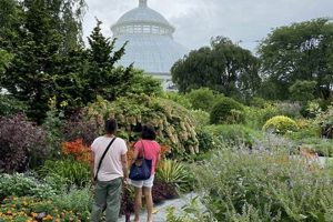Visit the Bronx Zoo to Bronx Botanical Garden: Your Guide The Ultimate Gardening Guide: Grow a Thriving Garden Year-Round Visit the Bronx Zoo to Bronx Botanical Garden: Your Guide | The Ultimate Gardening Guide: Grow a Thriving Garden Year-Round